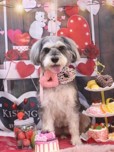 20250227パピコくん